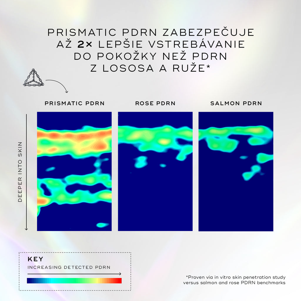 Grafika porovnáva úroveň penetrácie rôznych typov PDRN do pokožky pomocou skenov s teplotnou mapou, pričom nadpis uvádza, že Prismatic PDRN dosahuje dvojnásobne vyššiu absorpciu a o 60 % hlbšiu penetráciu, čo potvrdzuje sken „PRISMATIC PDRN“ s výrazne väčším podielom červenej a oranžovej farby v hlbších vrstvách pokožky v porovnaní so skenmi „ROSE PDRN“ a „SALMON PDRN“.